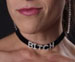 "Ladies Velvet ""Bitch"" Choker  [SOLD OUT]"