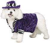 Pimp Doggy Costume