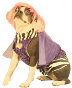 Hot Mama Doggy Costume